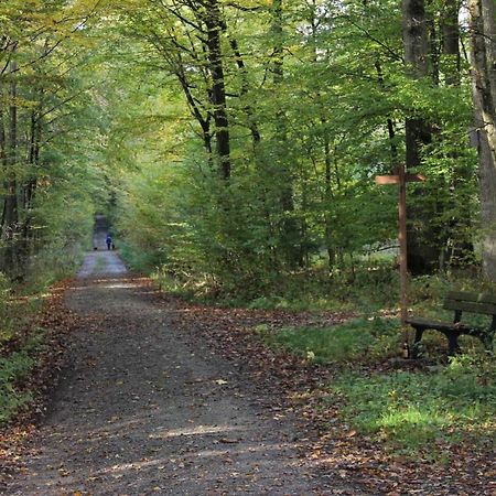 Glueck Holiday Eventhaus Uffenheim Zewnętrze zdjęcie